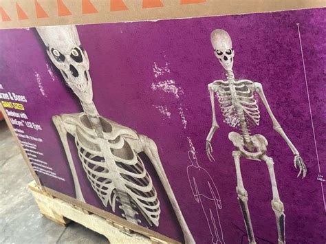 12 Ft Giant Sized Skeleton With LifeEyes TM LCD Eyes Halloween