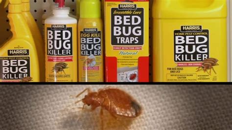 4 Best Bed Bug Killers For Your Home 2024 Buying Guide Home Heartcraft