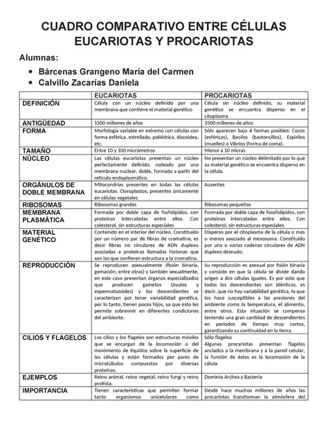 Cuadro Comparativo Entre Células Eucariotas Y Procariotas CUADRO