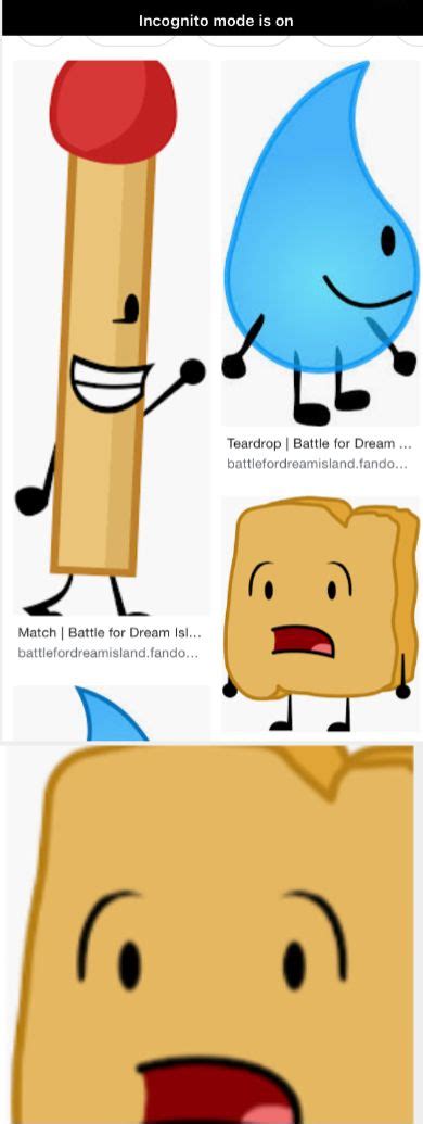 Pin by Gavin Hillin on BFDI AND OTHER OBJECT SHOWS | Fandom funny ...