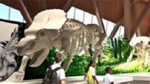 Funding shortfall delays Alberta dinosaur museum | CBC News