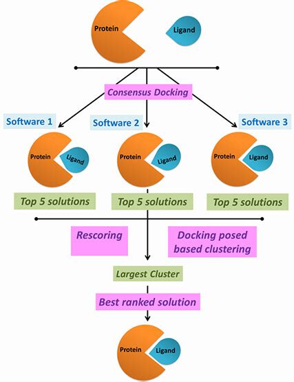 Metadock A Combinatorial Molecular Docking Approach Acs Omega