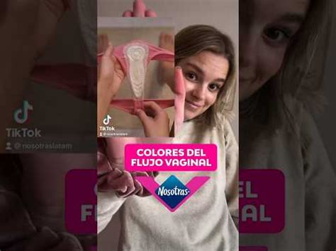 Flujo Normal Descubre Los Colores Y Su Importancia En La Salud Femenina