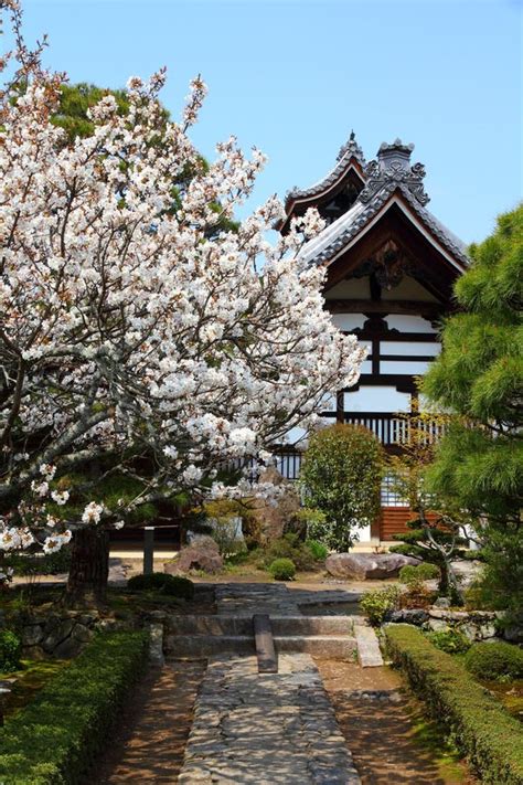 Templo De Tenryuji Em Kyoto Foto De Stock Imagem De Rocha Leste