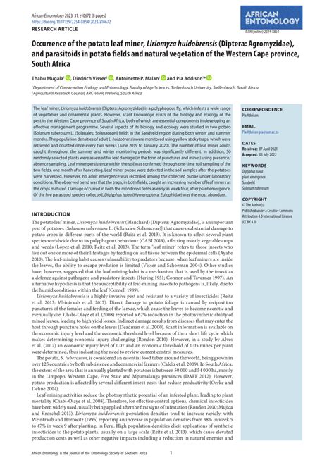 Pdf Occurrence Of The Potato Leaf Miner Liriomyza Huidobrensis