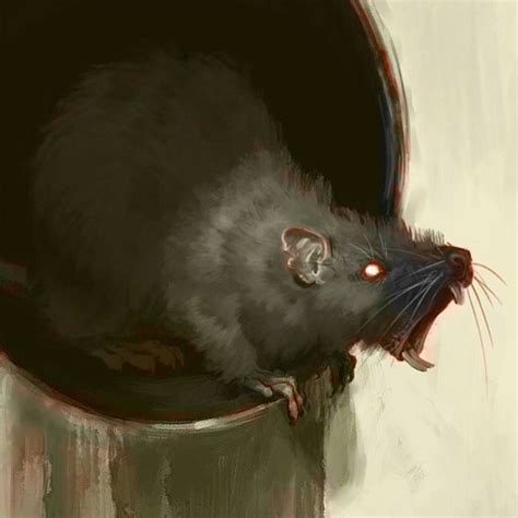 Scary Rat Images | Unnerving Images for Your All