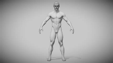 Male Base Mesh 3d Model By Danielmclogan [b50f25f] Sketchfab