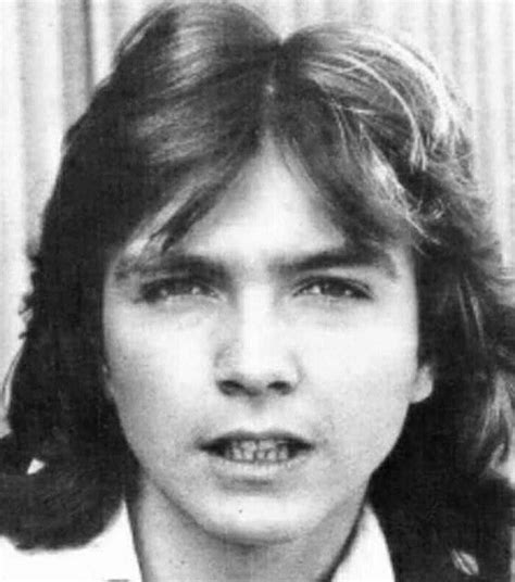 David Cassidy Portrait David Cassidy David Portrait