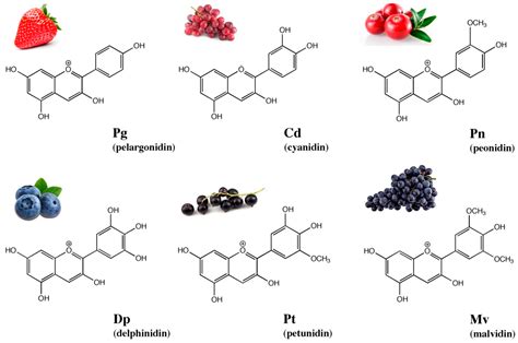 Common Chemical Structures