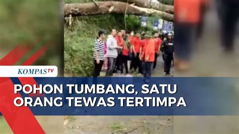 Seorang Pengendara Motor Tewas Tertimpa Pohon Tumbang Di Lembang Youtube