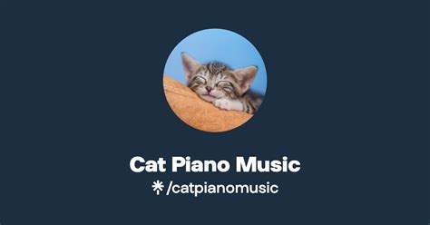 Cat Piano Music Listen On Youtube Spotify Apple Music Linktree