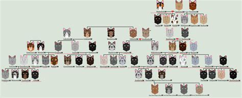 Crookedstar's Family Tree by Hawkpath123 on DeviantArt