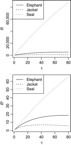 Net Displacement And Temporal Scaling Model Fitting Interpretation