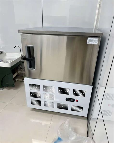 Spm Commercial L Tray Instant Flash Freezer Machine Fast Quick