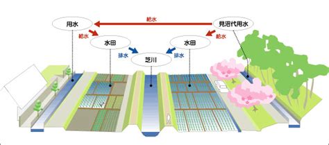 見沼代用水｜見沼たんぼってなに？｜見沼たんぼのホームページ