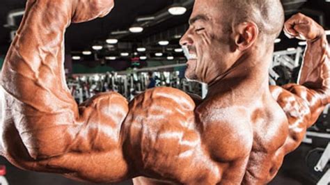 Bicep Curls: How To Master Them The Right Way - SpotMeBro.com