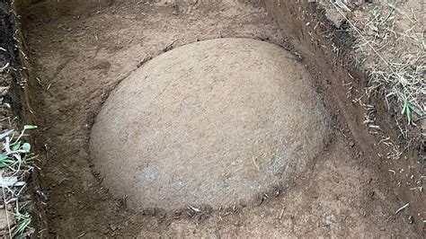 Encuentran Nueva Esfera De Piedra Precolombina En Palmar Sur De Osa