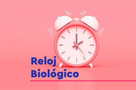 La Importancia Del Reloj Biol Gico Y El Ciclo De Sue O Healthy Nigths