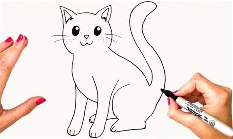 The Easiest Way To Draw A Cat How To Draw A Cat Step By Step Easy Drawing A Cat