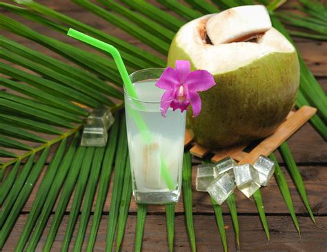 Khasiat Minum Air Kelapa Muda Untuk Berbuka Puasa Tirtoid