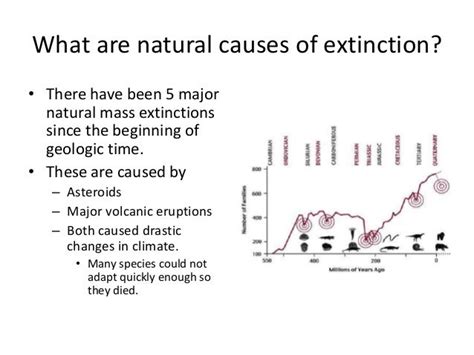 Unit 3 B Ch 10 S2 Biodiversity At Risk