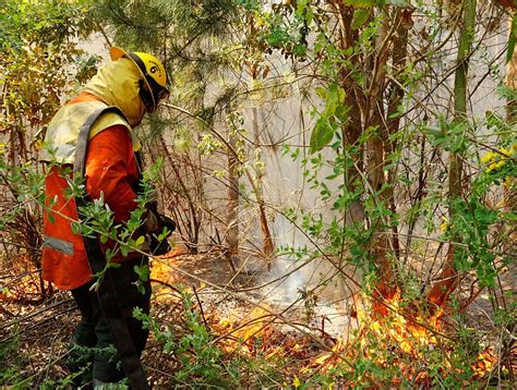 Se Declaró Alerta Preventiva Temprana En El Biobío Por Incendios