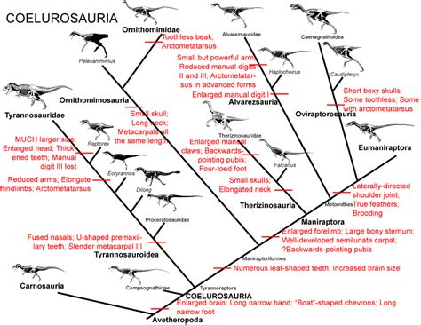 Palaeos Systematics: Cladistics: Cladistics and Paleontology