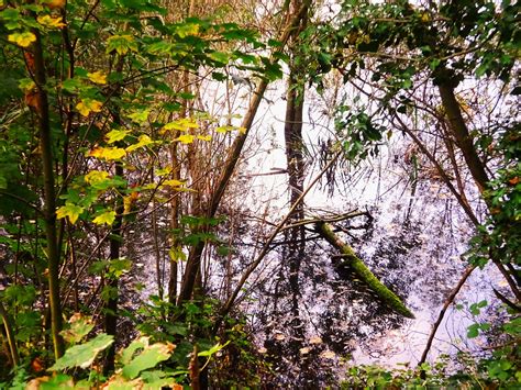 Aux Lacs De Viry Ch Tillon Reflets Dans Le Lac Jean Marc Bilquez