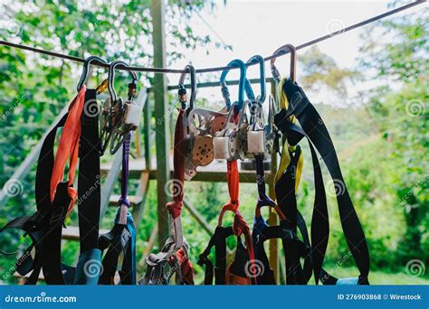 Colorful Climbing Harnesses Suspended From A Rope Stock Photo Image