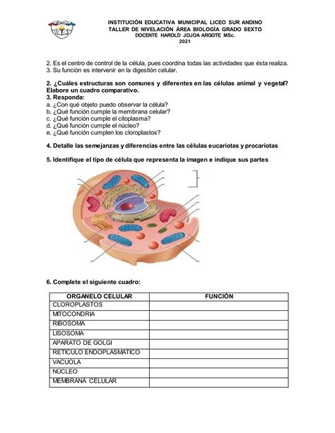 Nivelacion Final Biología Sexto 2 Pdf