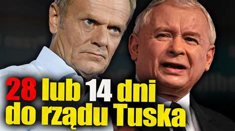 28 lub 14 dni do rządu Tuska Najpóźniej 11 grudnia powstanie rząd