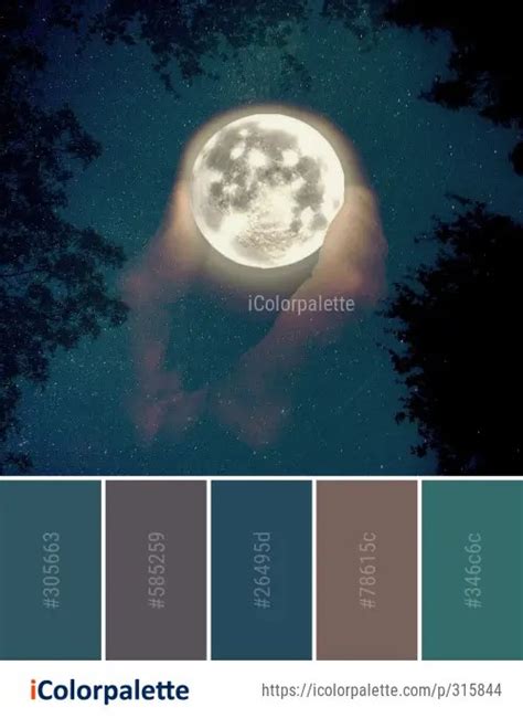 151 Moon Color Palette ideas in 2021 | iColorpalette