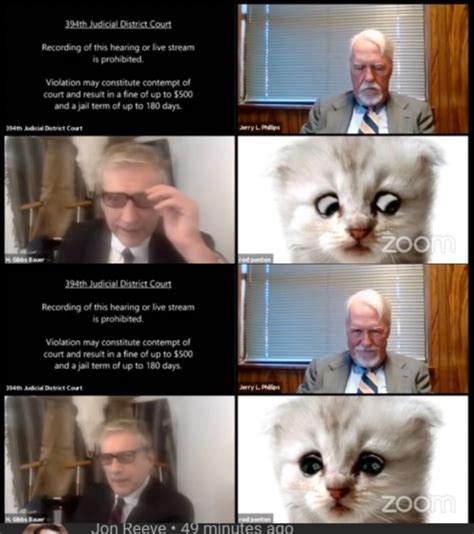 Lawyer Cat Meme