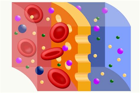 What Is Diffusion?