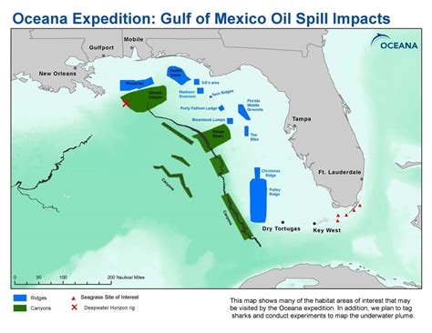 Gulf Of Mexico Places Oceana Usa