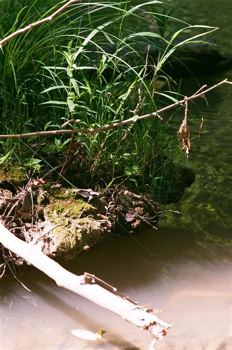 Creekside Nikkormat Ftn Nippon Kogaku Nikkor P F Mm Flickr