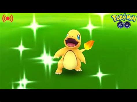 Shiny Charmander Community Day Classic Shundo Charmander Hunt