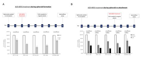 Cells Free Full Text Characterization Of Mutational Status Spheroid Formation And Drug