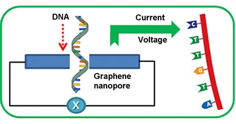 Graphene nanopore DNA sequencing - Mapping Ignorance