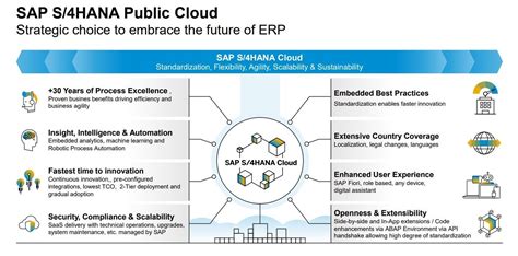 Rise With Sap S4 Hana Public Cloud Erp Gold Partner In Hyderabad Bengaluru Chennai