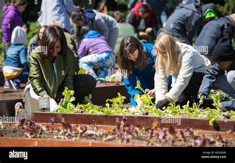 White House Kitchen Garden Planting 04050013 Stock Photo - Alamy