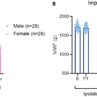 Representation Of The Sex Dependent Pain Phenotype Produced By The