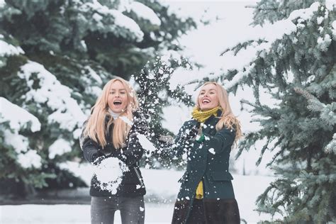 Christmas Trees Near Me - How to Find the Perfect Fresh Cut Tree