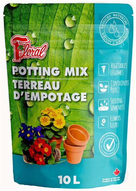 Terreau D Empotage Plantation Et Rempotage De Plantes Vertes Fleuries