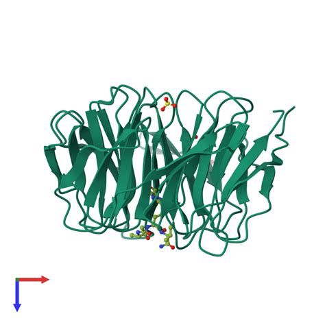 Pdb Pgd Gallery Protein Data Bank In Europe Pdbe Embl Ebi