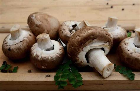 Faut Il Plucher Les Champignons De Paris Bruns Ou Marrons Frais