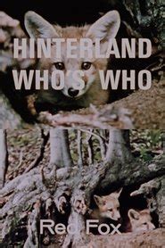 Hinterland Who's Who: Red Fox (1967) - AZ Movies 