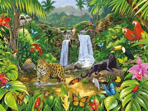 Animales De La Selva Tropical 】características Y Más