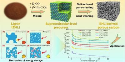 用于超级电容器的木质素基杂原子掺杂多孔碳的双向造孔策略 Chemical Engineering Journal X MOL