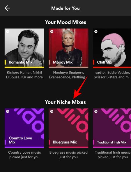 How To Find Niche Mixes In Spotify On Pc Or Phone